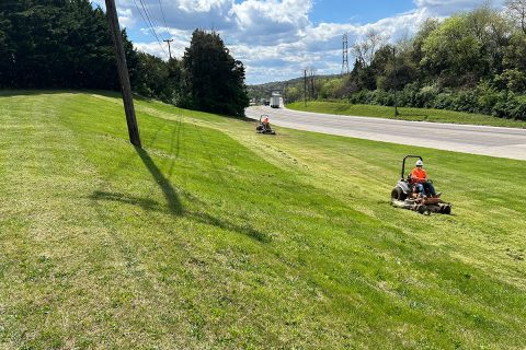 landscaping